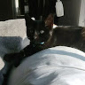 Meet your Posher, Elizabeth